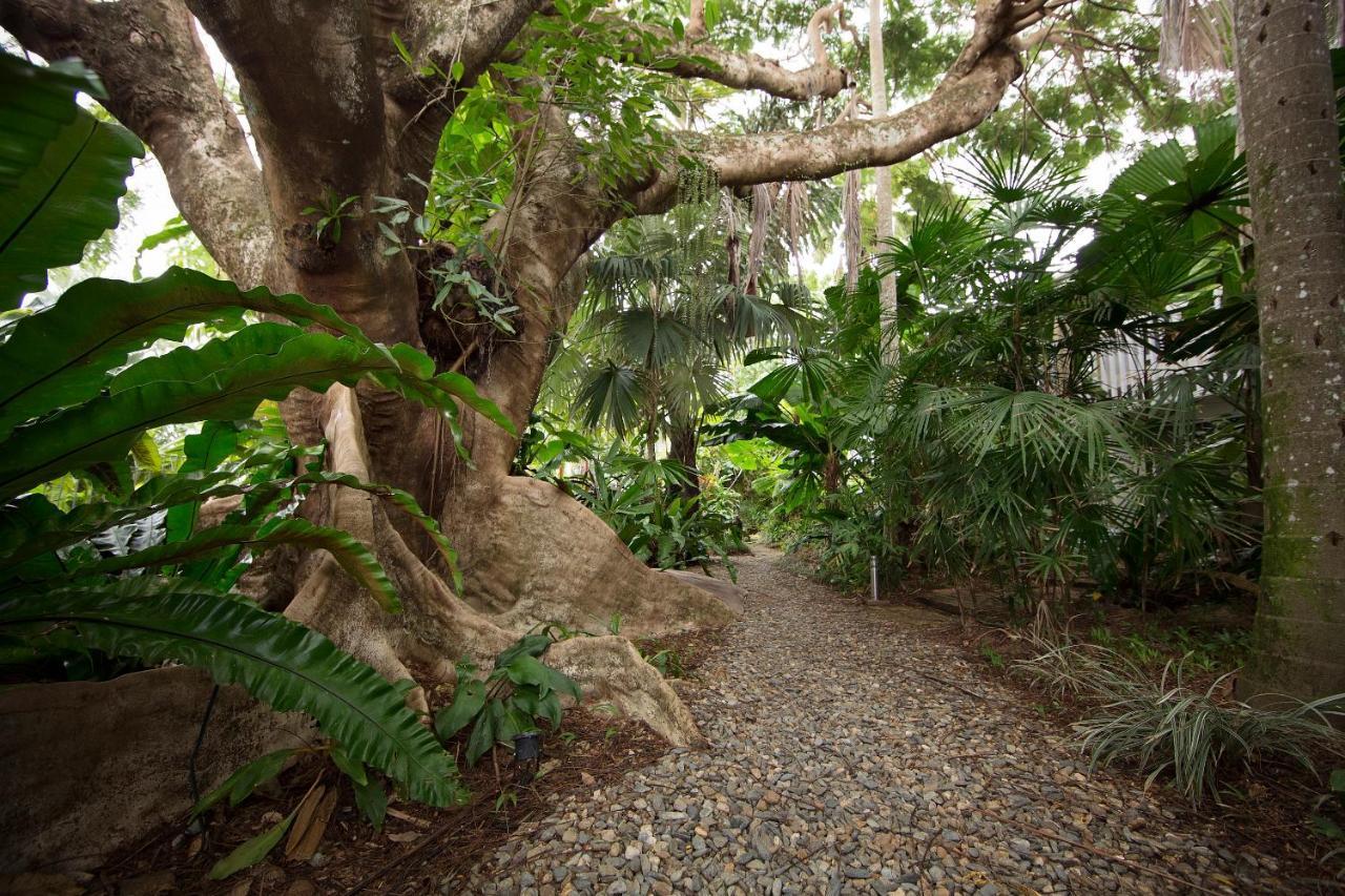 Rainforest Castaways Resort And Spa Mission Beach Ngoại thất bức ảnh
